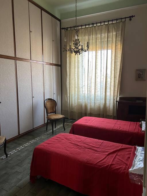 La Finestra Sulle Mura Lucca Dış mekan fotoğraf